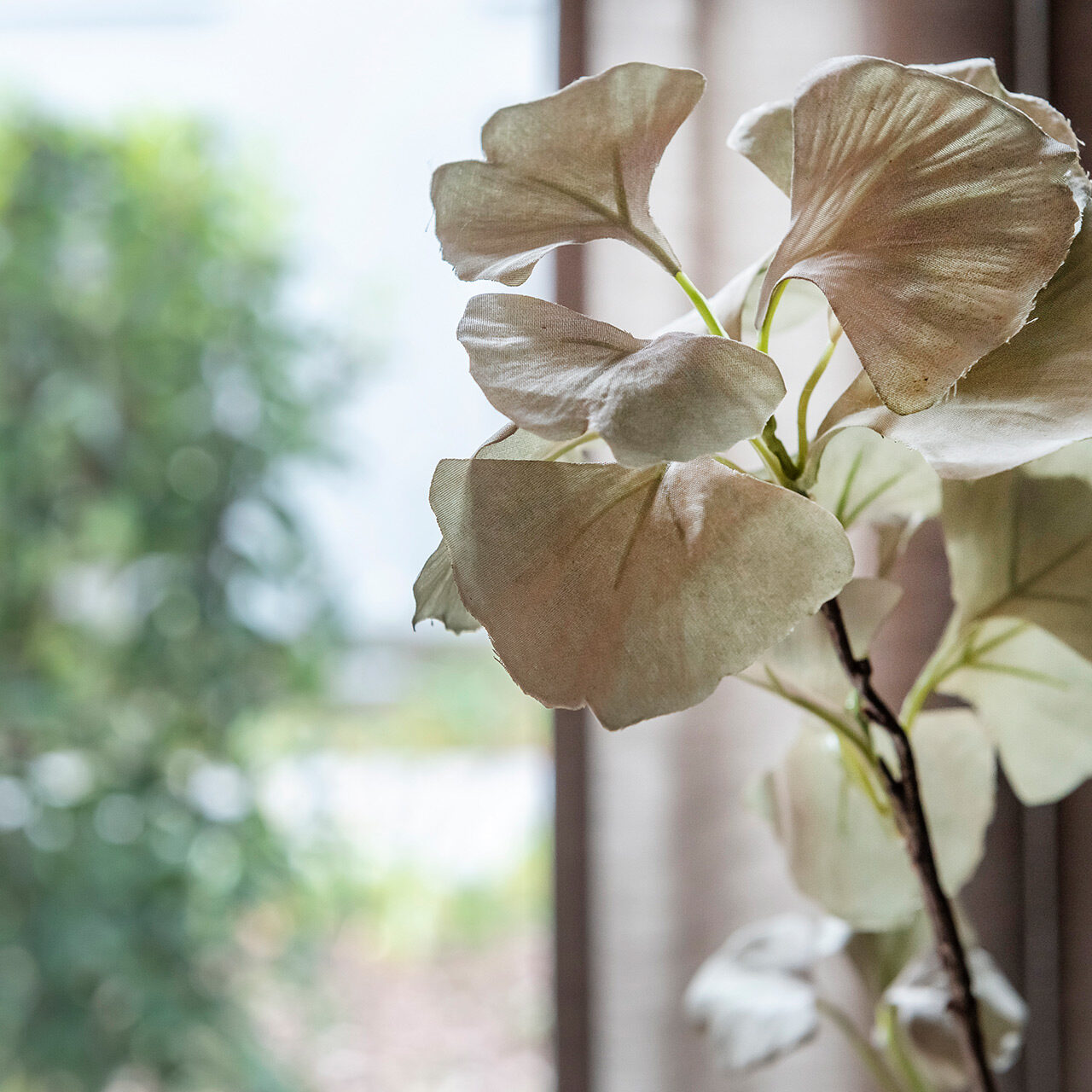 20250513 Midori 8822